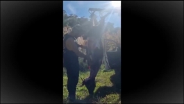 Alone Australia - Season 01 Episode 01